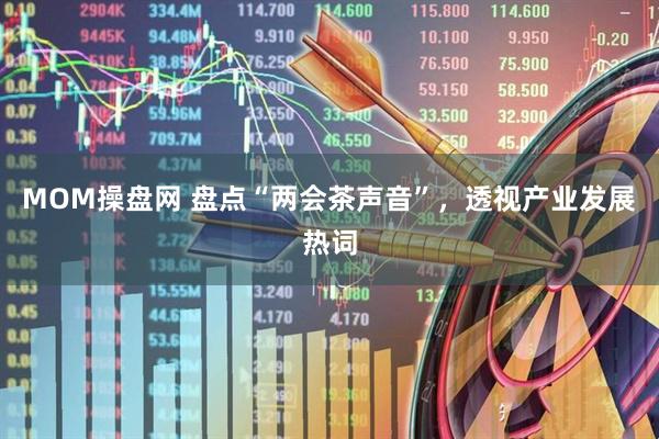 MOM操盘网 盘点“两会茶声音”，透视产业发展热词