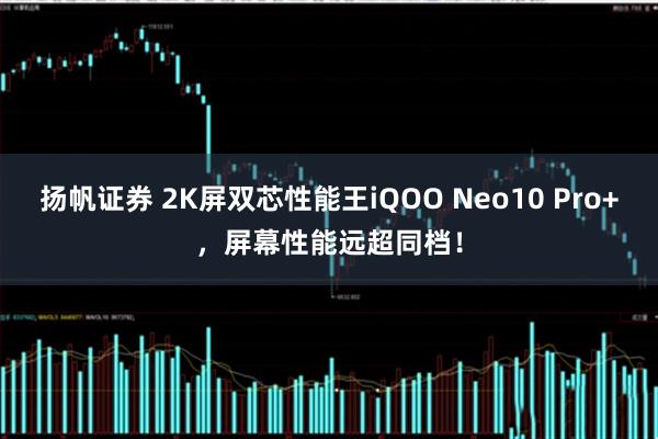 扬帆证券 2K屏双芯性能王iQOO Neo10 Pro+，屏幕性能远超同档！