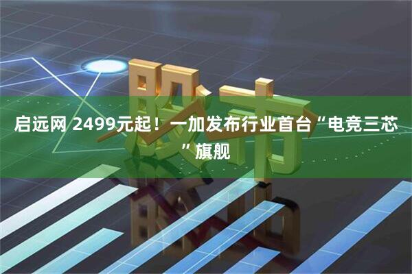启远网 2499元起！一加发布行业首台“电竞三芯”旗舰