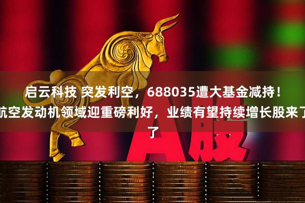 启云科技 突发利空，688035遭大基金减持！航空发动机领域迎重磅利好，业绩有望持续增长股来了