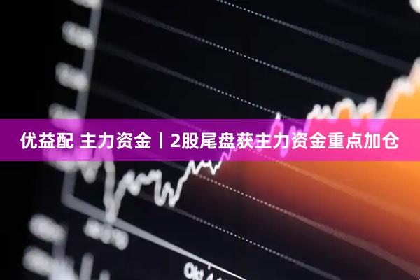 优益配 主力资金丨2股尾盘获主力资金重点加仓