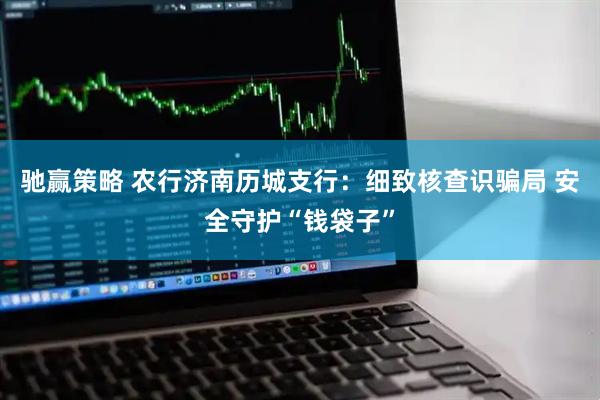 驰赢策略 农行济南历城支行：细致核查识骗局 安全守护“钱袋子”