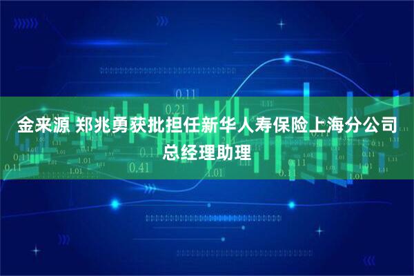 金来源 郑兆勇获批担任新华人寿保险上海分公司总经理助理