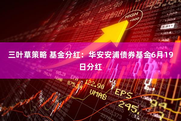 三叶草策略 基金分红：华安安浦债券基金6月19日分红