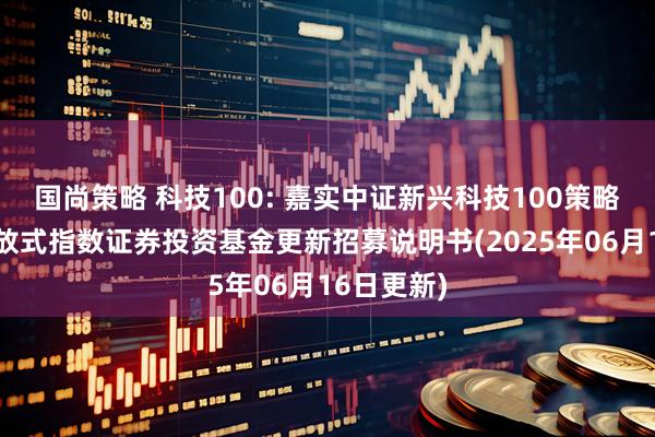 国尚策略 科技100: 嘉实中证新兴科技100策略交易型开放式指数证券投资基金更新招募说明书(2025年06月16日更新)