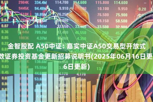 金智股配 A50中证: 嘉实中证A50交易型开放式指数证券投资基金更新招募说明书(2025年06月16日更新)