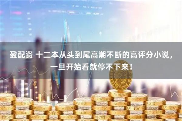 盈配资 十二本从头到尾高潮不断的高评分小说，一旦开始看就停不下来！