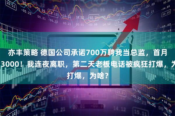 亦丰策略 德国公司承诺700万聘我当总监，首月只发3000！我连夜离职，第二天老板电话被疯狂打爆，为啥？