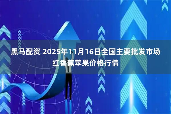 黑马配资 2025年11月16日全国主要批发市场红香蕉苹果价格行情