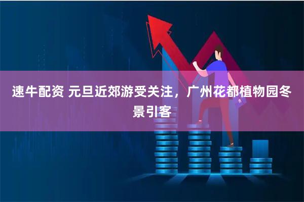 速牛配资 元旦近郊游受关注，广州花都植物园冬景引客